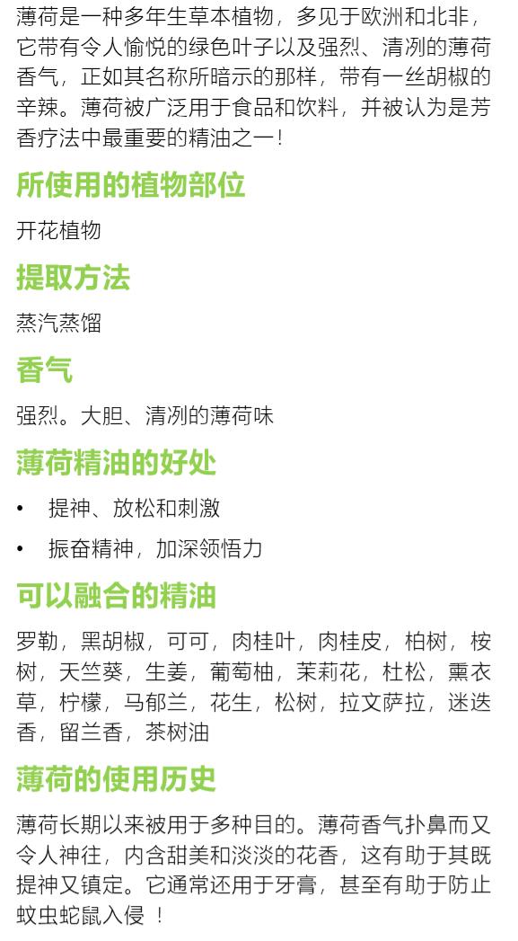薄荷1.jpg