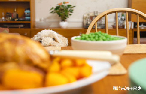 不必节食的24种减肥方法