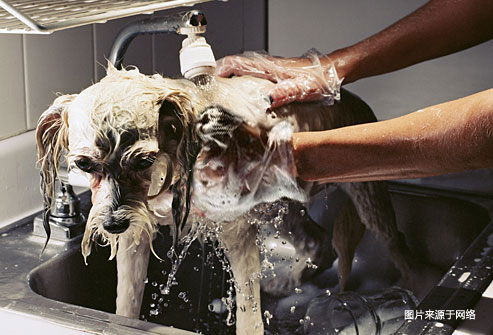 碰触有毒植物后怎么办