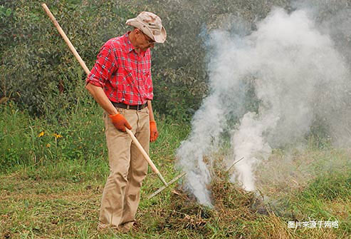 碰触有毒植物后怎么办