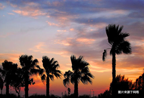 过敏的人美国春游请绕开这10个城市